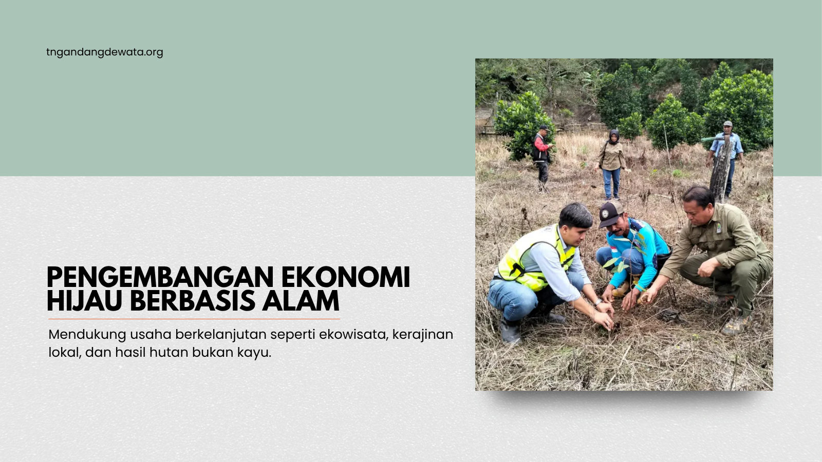 Pengembangan Ekonomi Hijau Berbasis Alam