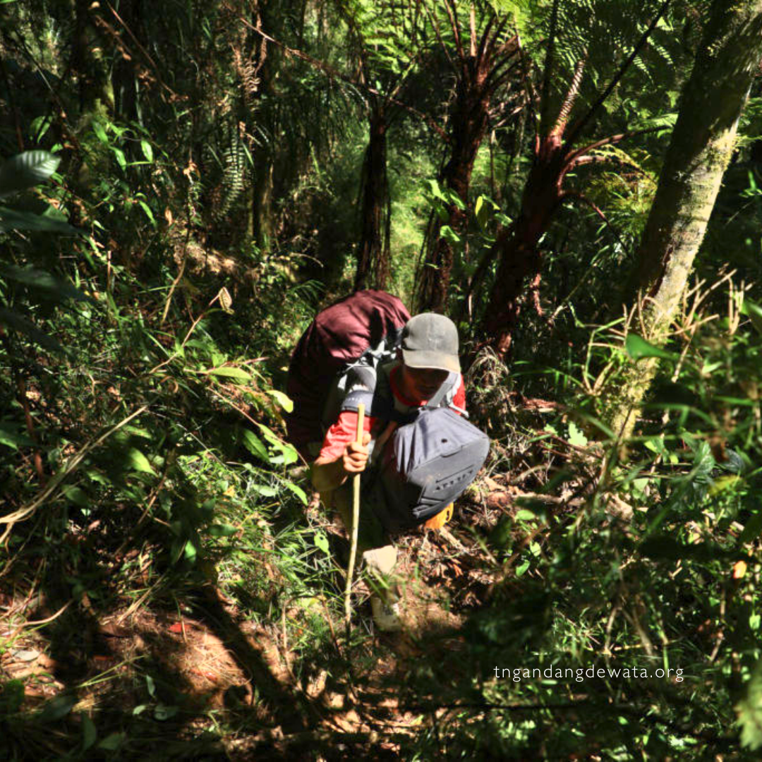 Program Konservasi Hutan dan Keanekaragaman Hayati